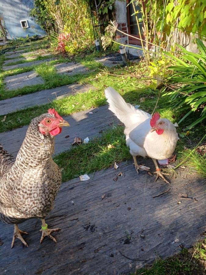 Logement Entier - Le Pigeonnier De La Plume Nantes Exteriör bild