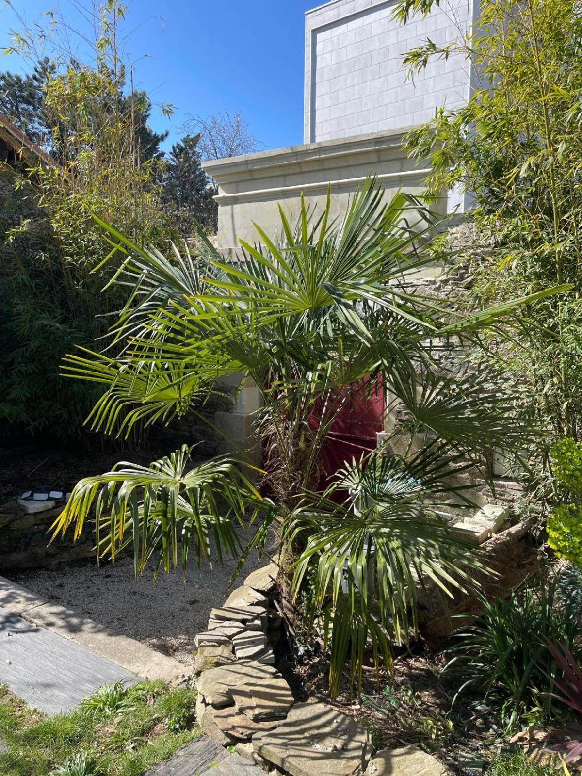 Logement Entier - Le Pigeonnier De La Plume Nantes Exteriör bild
